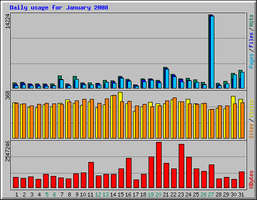Daily usage for January 2008