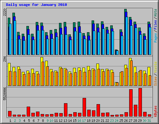 Daily usage for January 2010