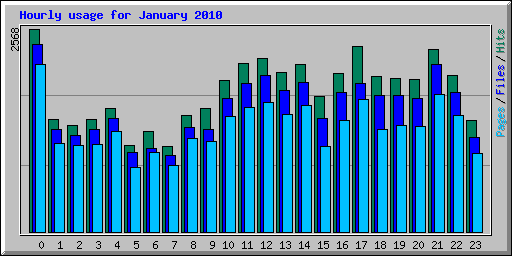 Hourly usage for January 2010
